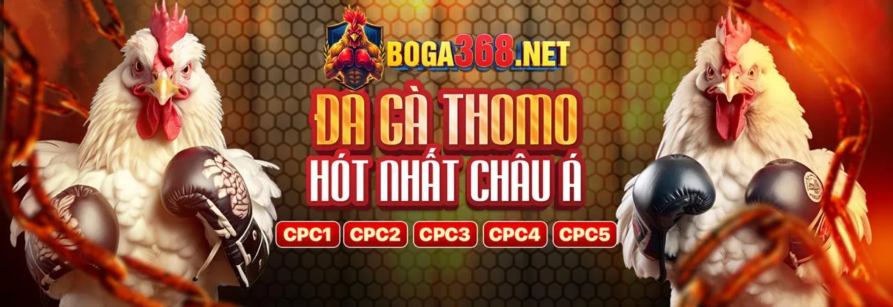 Tin tức Đá Gà Trực Tuyến Mới Nhất